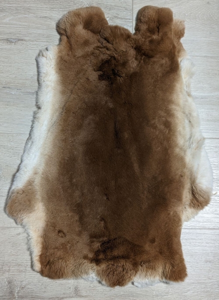 Kaninchenfell Rexkanin Gelbrex Nr. 44