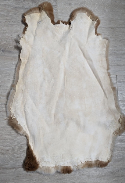 Kaninchenfell Rexkanin Gelbrex Nr. 44
