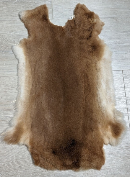 Kaninchenfell Rexkanin Gelbrex Nr. 46