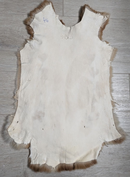 Kaninchenfell Rexkanin Gelbrex Nr. 46
