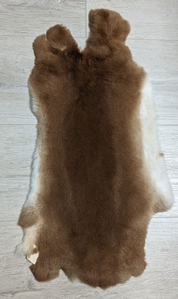 Kaninchenfell Rexkanin Gelbrex Nr. 47