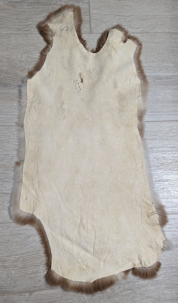Kaninchenfell Rexkanin Gelbrex Nr. 47