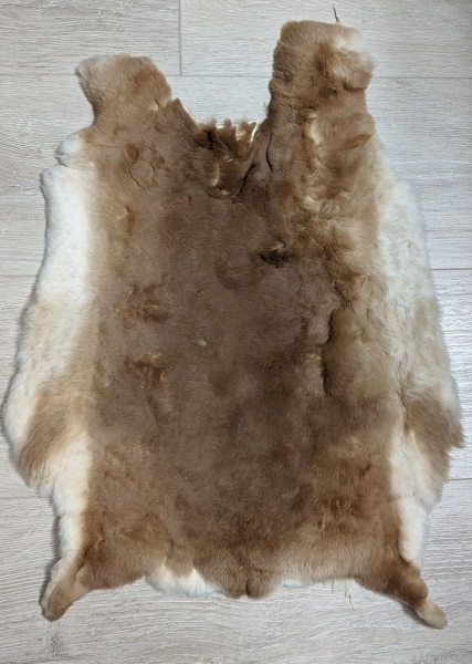 Kaninchenfell Rexkanin Gelbrex Nr. 48