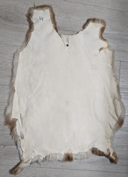 Kaninchenfell Rexkanin Gelbrex Nr. 48