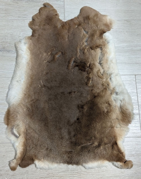 Kaninchenfell Rexkanin Gelbrex Nr. 49
