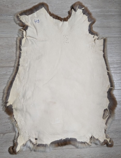 Kaninchenfell Rexkanin Gelbrex Nr. 49