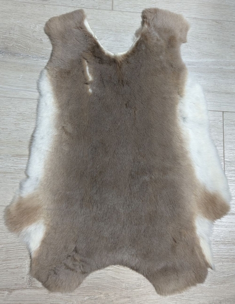 Kaninchenfell Rexkanin hellgrau braun beige Nr. 50
