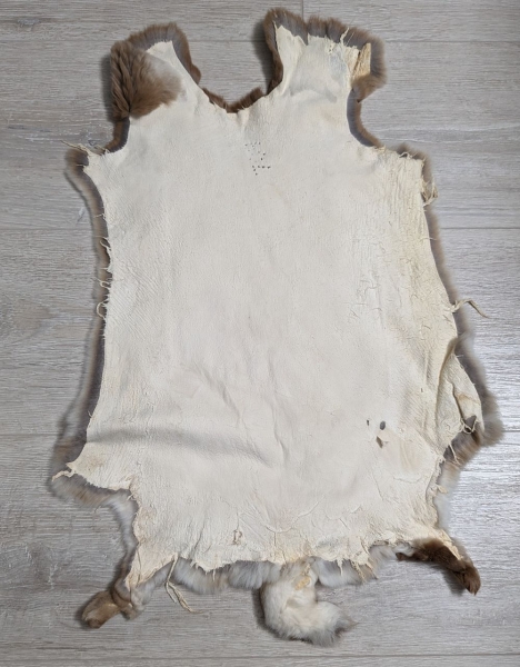 Kaninchenfell Rexkanin Gelbrex Nr. 51