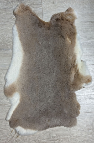Kaninchenfell Rexkanin hellgrau braun beige Nr. 58