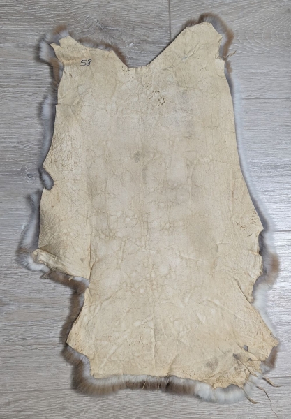 Kaninchenfell Rexkanin hellgrau braun beige Nr. 58
