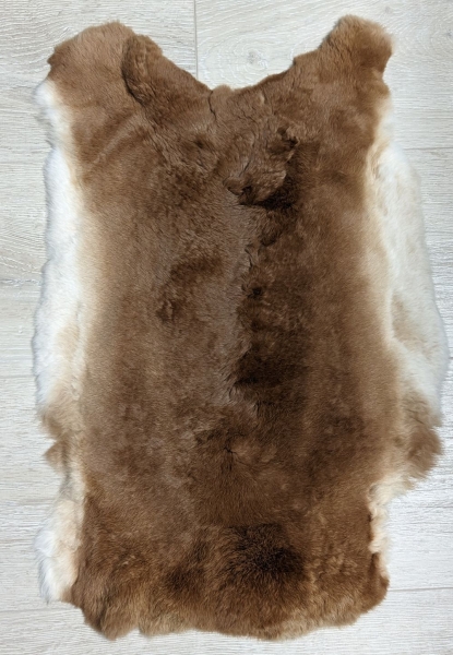 Kaninchenfell Rexkanin Gelbrex Nr. 62