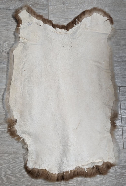 Kaninchenfell Rexkanin Gelbrex Nr. 62
