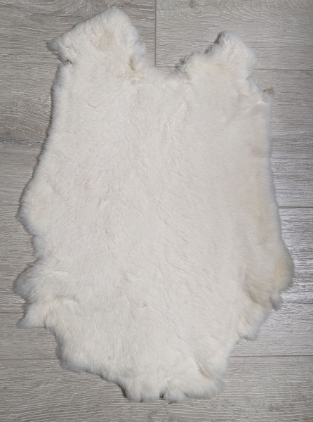 Kaninchenfell Rexkanin weiß Nr. 63