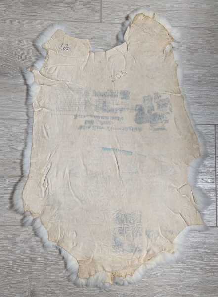 Kaninchenfell Rexkanin weiß Nr. 63