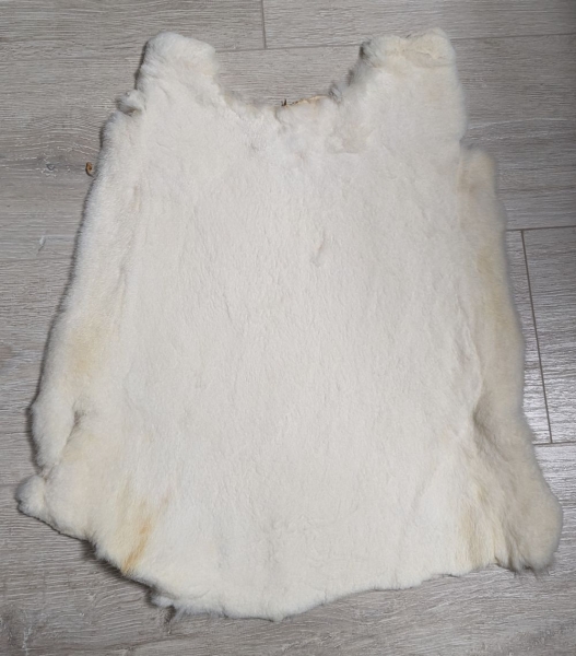Kaninchenfell Rexkanin weiß Nr. 64