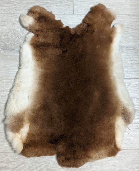 Kaninchenfell Rexkanin Gelbrex Nr. 66