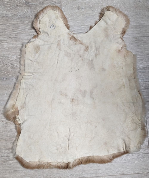 Kaninchenfell Rexkanin Gelbrex Nr. 67