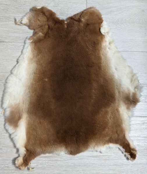 Kaninchenfell Rexkanin Gelbrex Nr. 68
