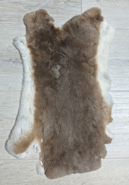 Kaninchenfell Rexkanin hellgrau braun beige Nr. 73