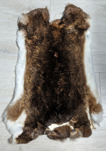 Kaninchenfell Rexkanin Castor Rex Nr. 75