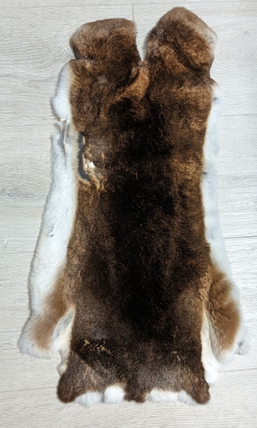 Kaninchenfell Rexkanin Castor Rex Nr. 77