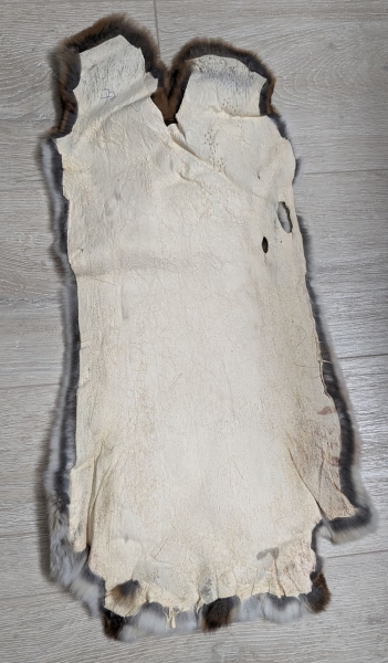 Kaninchenfell Rexkanin Castor Rex Nr. 77