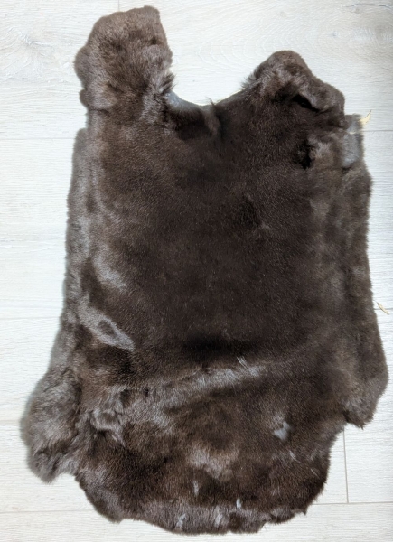 Kaninchenfell Rexkanin dunkelbraun weiß Nr. 82