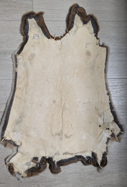 Kaninchenfell Rexkanin Castor Rex Nr. 89