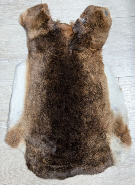 Kaninchenfell Rexkanin Castor Rex Nr. 90
