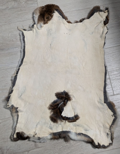 Kaninchenfell Rexkanin Castor Rex Nr. 92