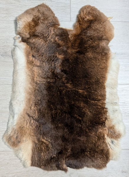 Kaninchenfell Rexkanin Castor Rex Nr. 98