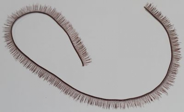 1 Stück Wimpernlitze Wimpern Kunsthaar kaffee 20 cm x 5 mm