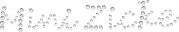 Swarovski Bügelapplikation Hotfix