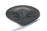 Sicherheitsnase 24 mm x 14 mm Gazelle hart schwarz mit Sicherheitsscheibe