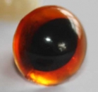 1 Paar Katzenaugen Drachenaugen Sicherheitsaugen gelborange transparent
